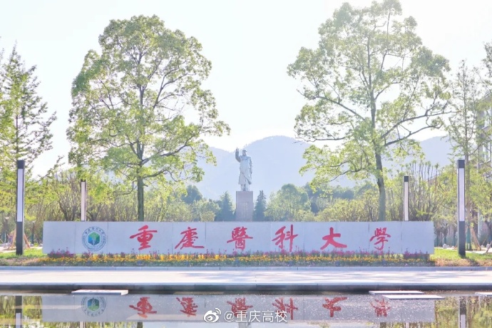 <b>重庆医科大学</b>